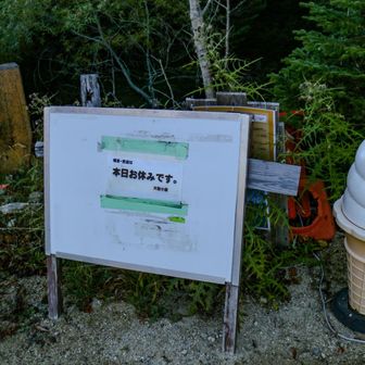 ここのソフト(のオブジェ)が毎回魅力的に目に映る🍦
けど見ての通り今日はやってないみたい
帰りに見たらテントが幾つか設営していた