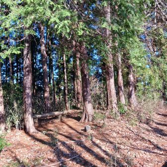 南高尾は静かで歩きやすいです😃