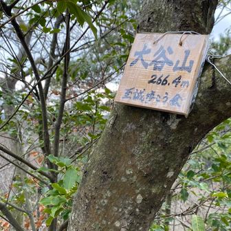 大谷山からルート変更の判断