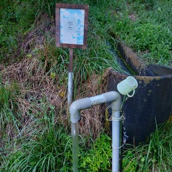 南アルプスの天然水飲み放題ですw