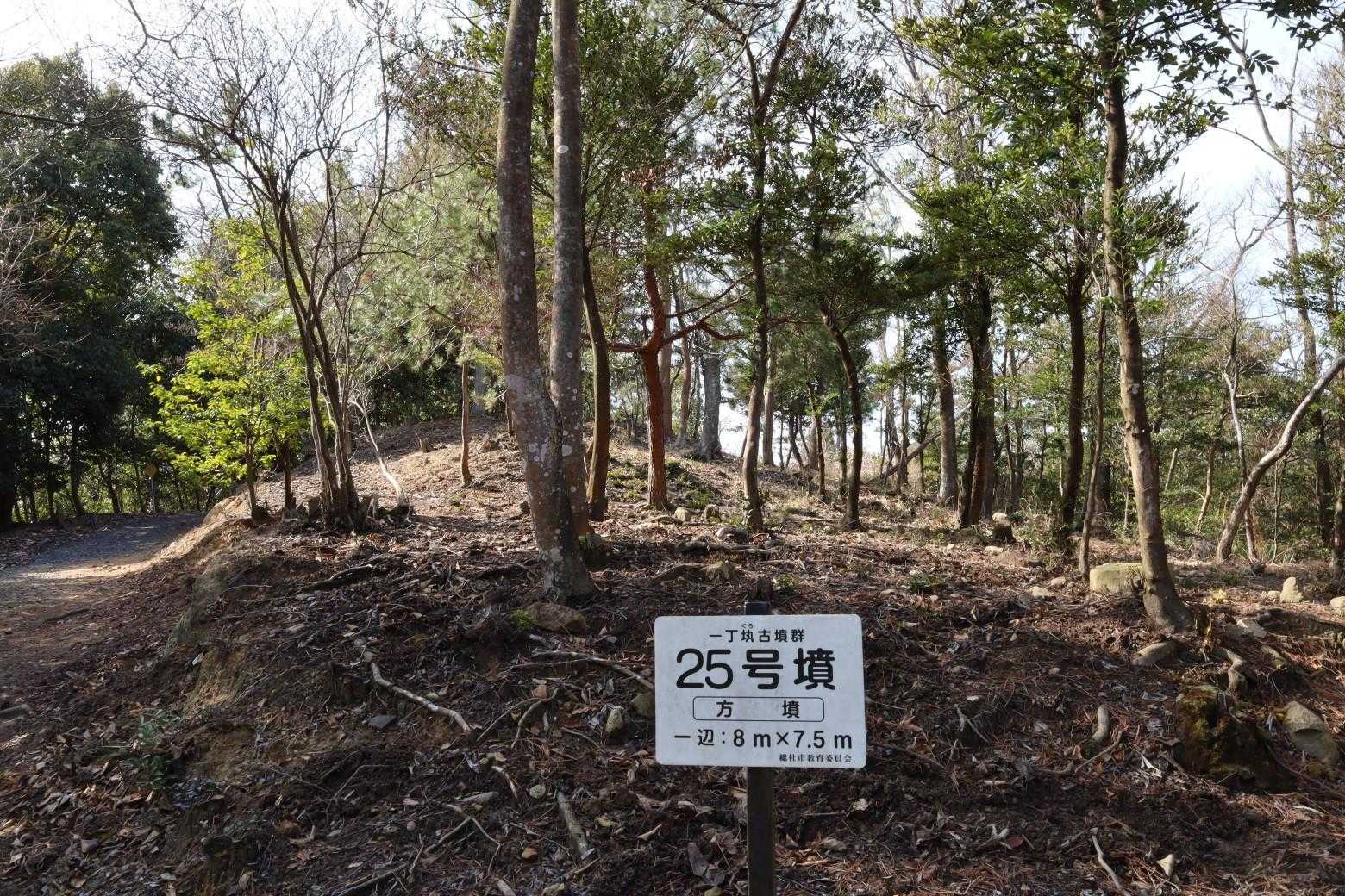 古墳がたくさん有る