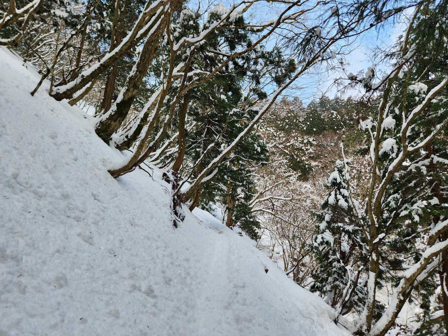 トレース