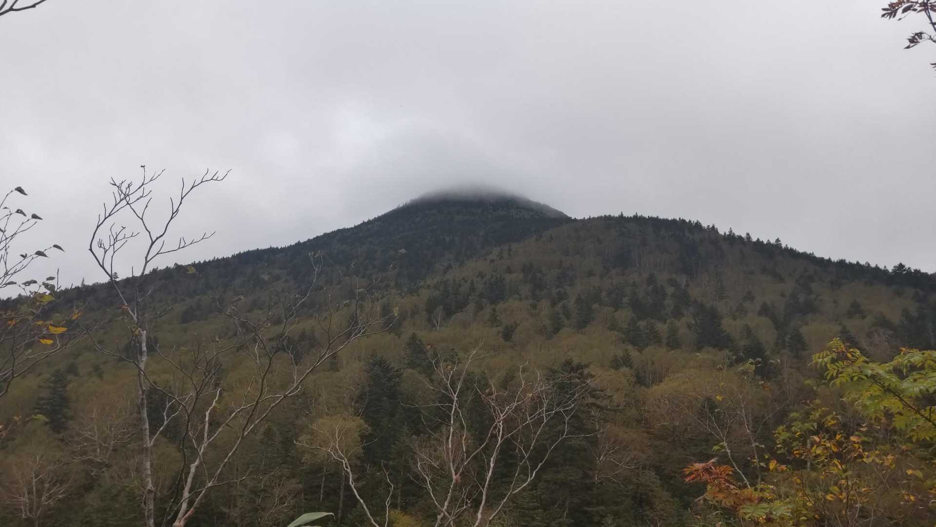 山頂は雲の中…