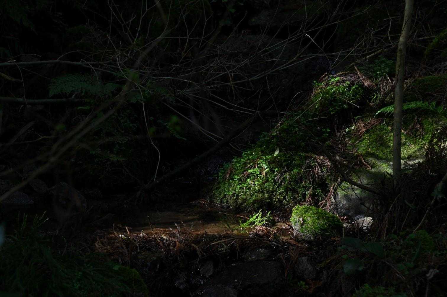 差し込む朝の光