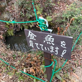 いるのかな？わからん