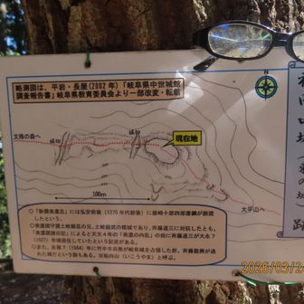 祐向山（いこうやま）城趾縄張図に眼鏡の落とし物