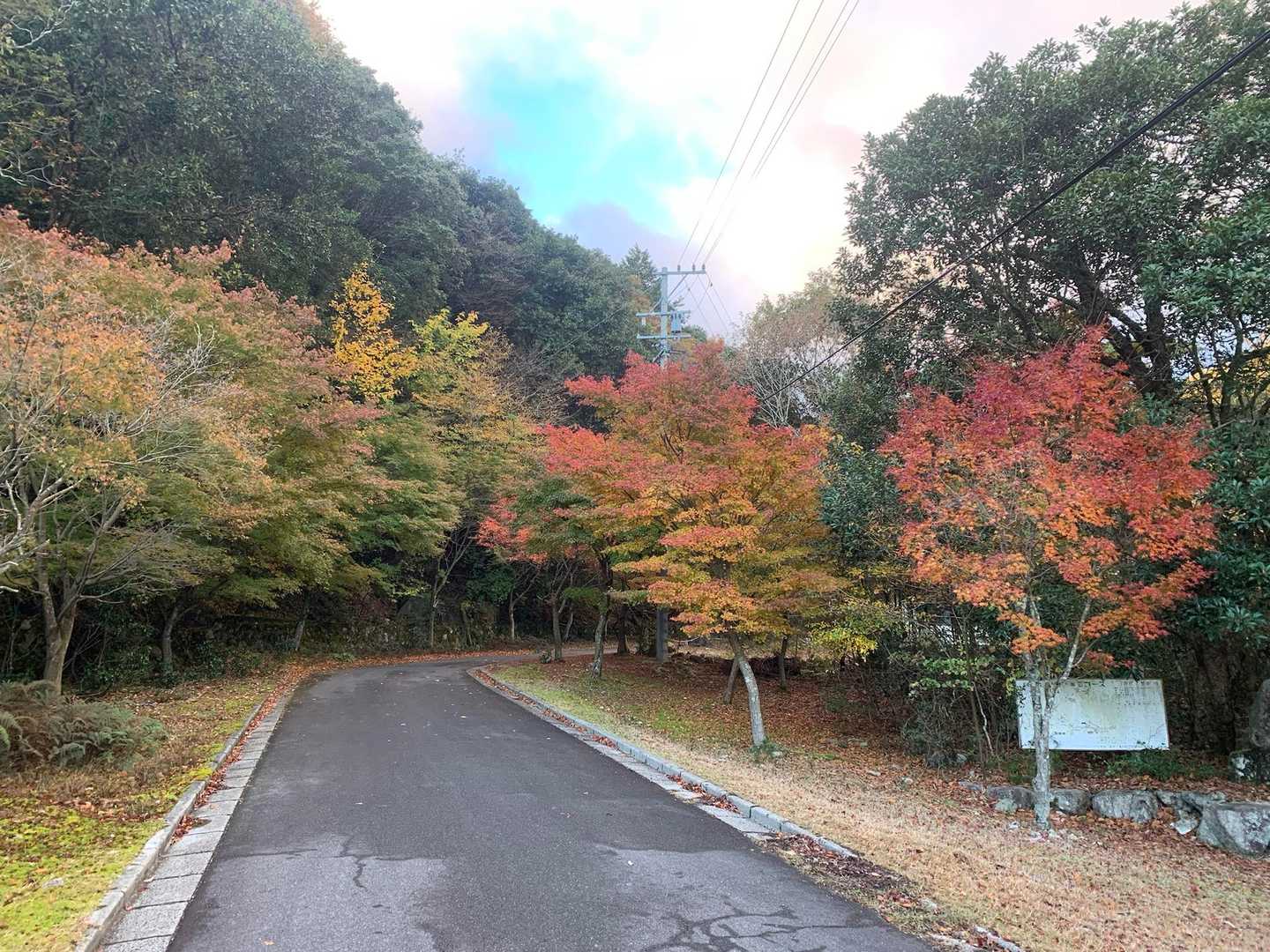 車道沿いには宿泊施設なども点在しています。紅葉もなかなかのもん(^^)