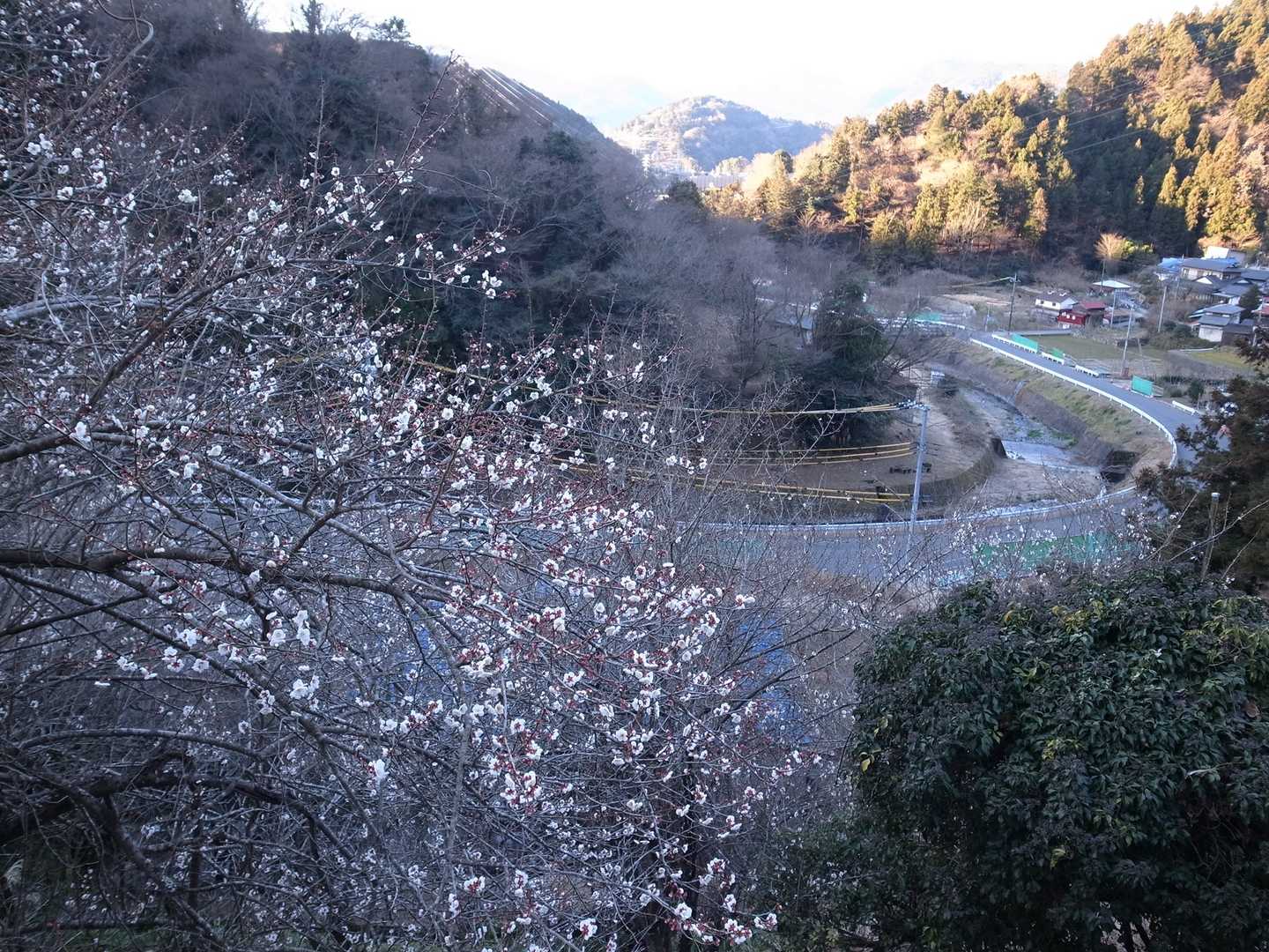 高松山入口バス停-高松山-フトウ山-桜丸-ダルマ沢ノ頭-シ 縦走コースの写真