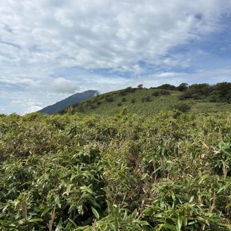 この笹原稜線からも富士山がずっと見えてます