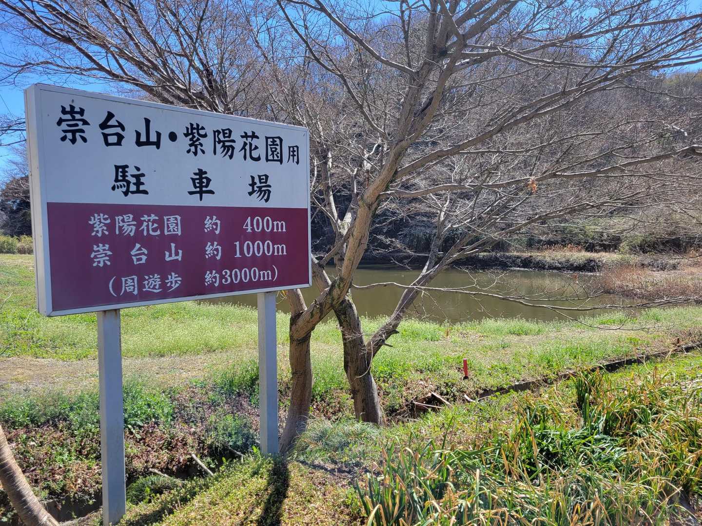 今日はみんなの里山🌸崇台山です！