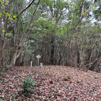こちらが鳥屋ヶ森の山頂。眺望は無し。