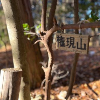 権現山来ました。