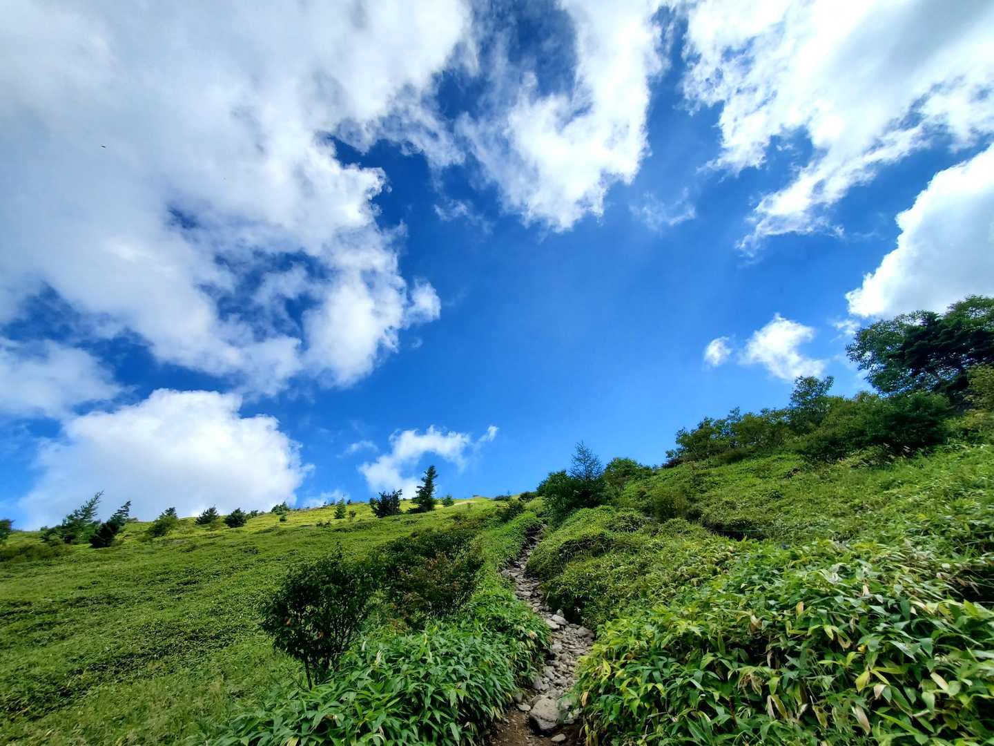 樹林帯抜けた！