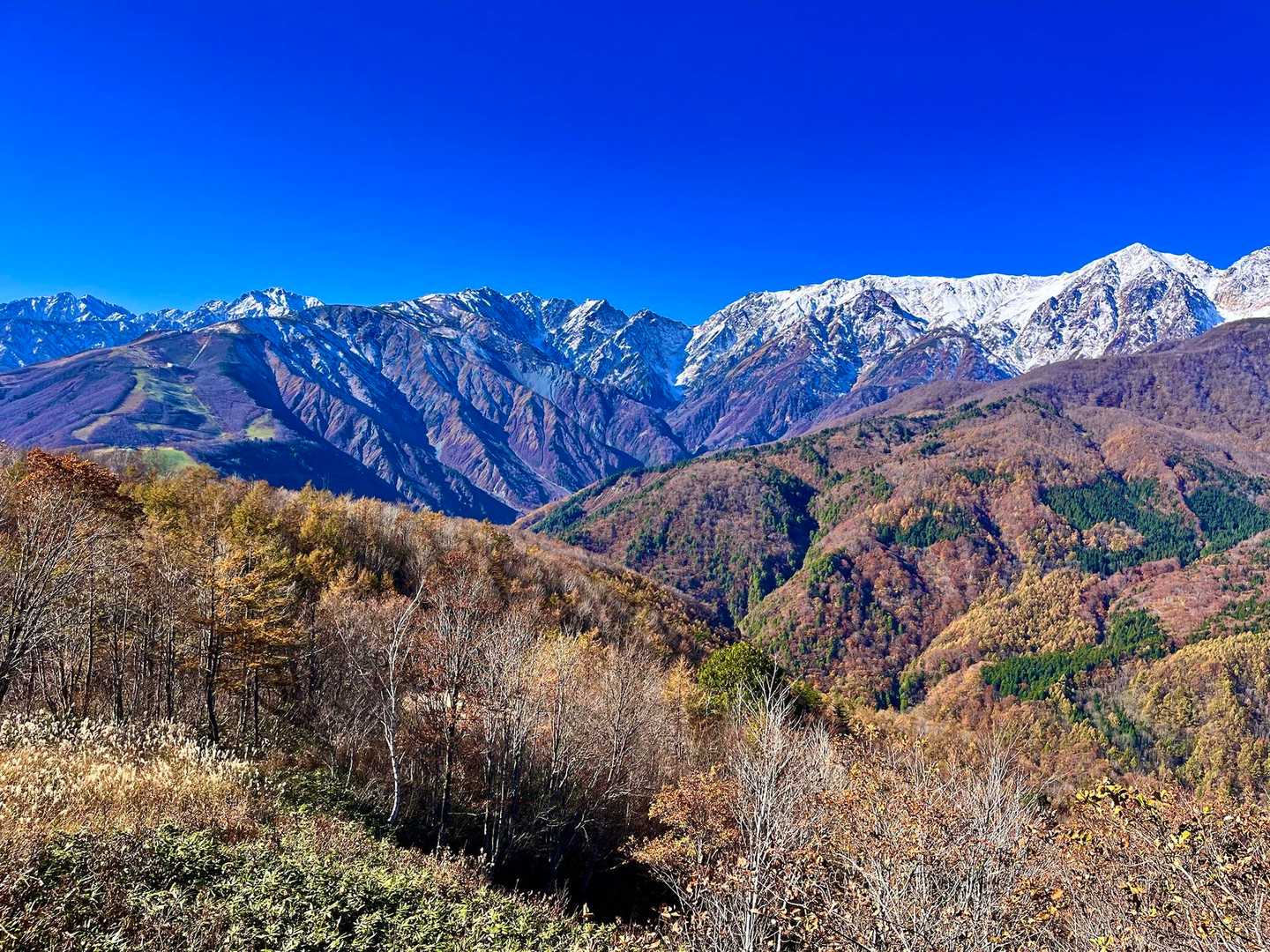 白馬岩岳マウンテンリゾートバス停-岩蕈山 縦走コースの写真