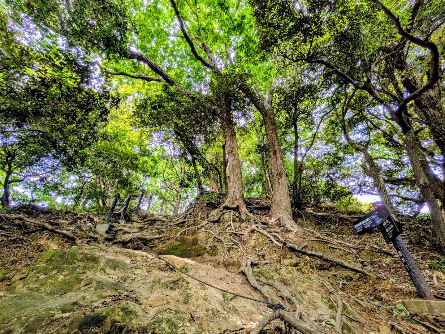 時々こんなところも。
