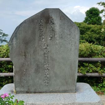 皇太子が登った富山