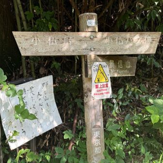 バス停から20分歩くと景信山登山口