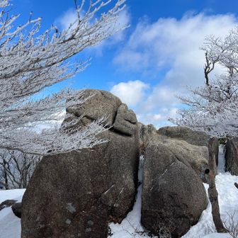 さて、ナチュールでお昼にしましょう♪