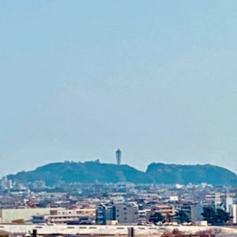 伊勢山から見た江の島