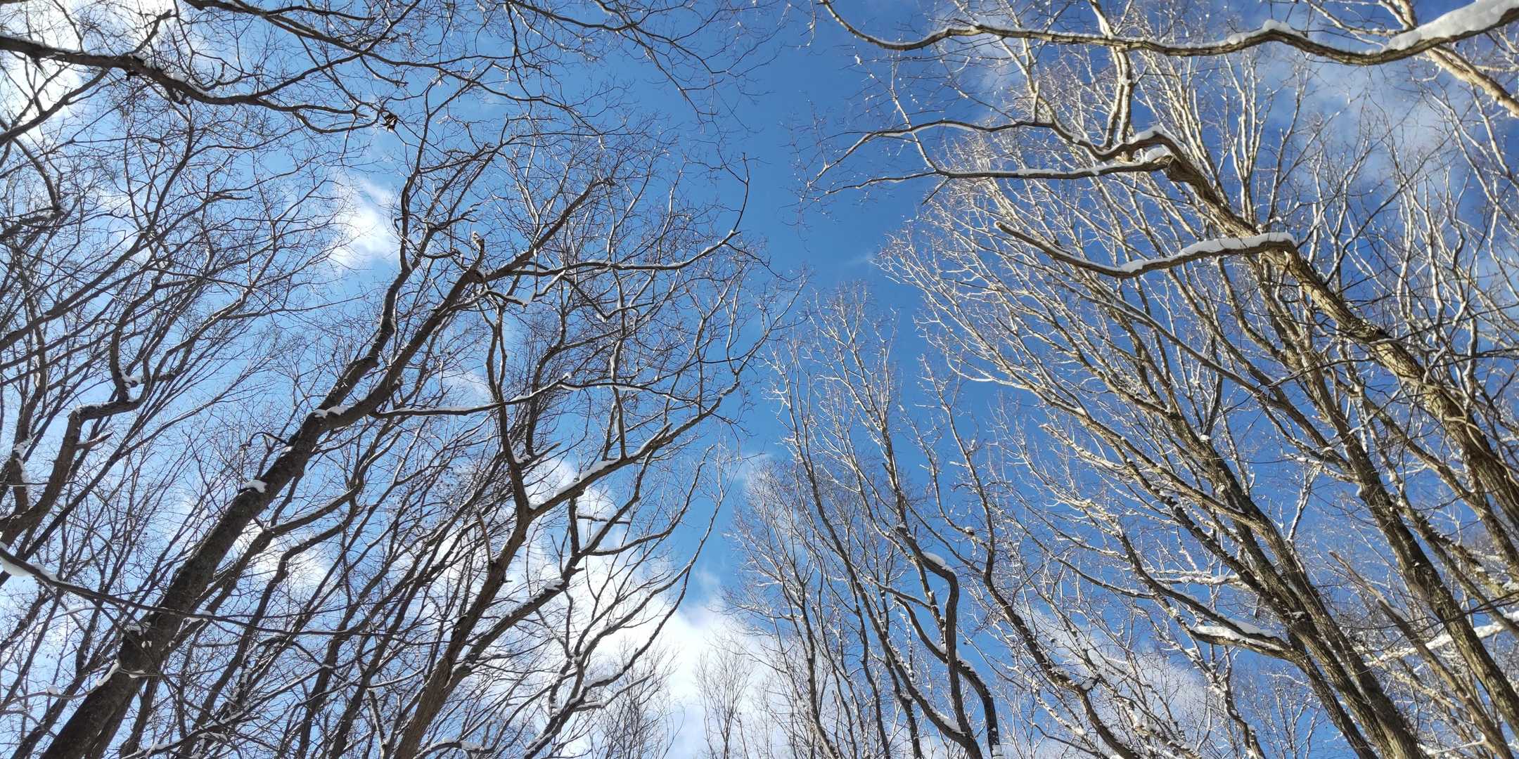 かなり久しぶりの山😅