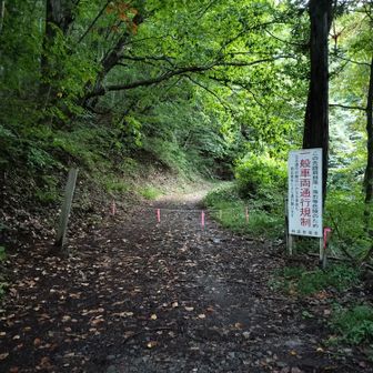 鎖がかかっているが入れる
八ヶ岳の道よりは凹凸少ないが、岩石が転がってるのでパンクが心配かな