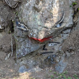 岩に動物❓
タバコ🚬吸ってる😆