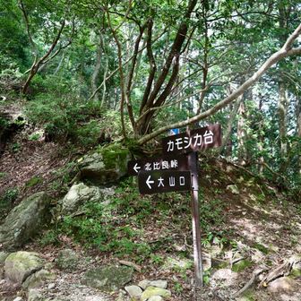 長い下山ルート
カモシカ台で休憩