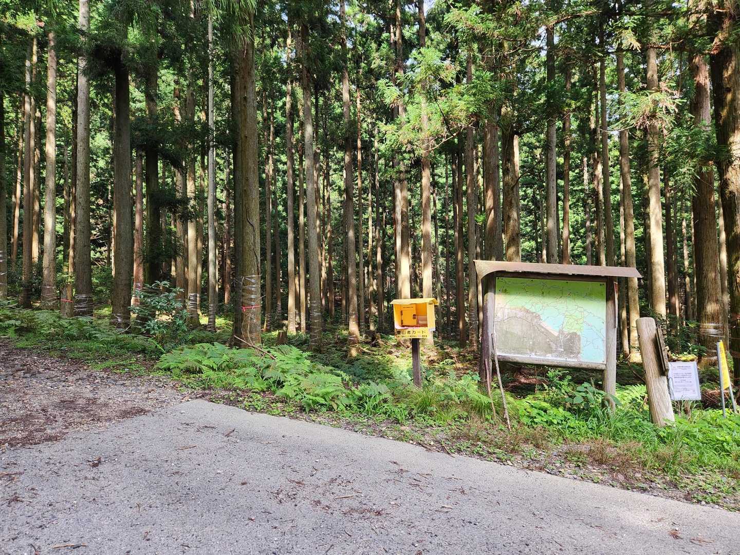 無事に下山
倍ぐらい時間かかってるけど、楽しい