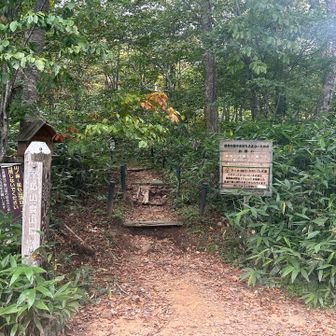 無事に至仏山登山口まで降りてきた。人の声がして安心した。
