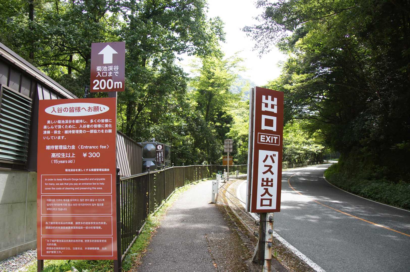 駐車場からワクワクの歩きです🤗