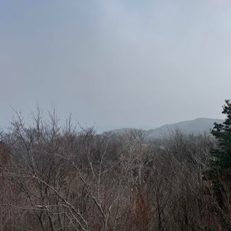 展望台より
富山方面
霞がかって何にも見えない