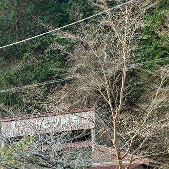 写真撮り忘れたので、遠くから