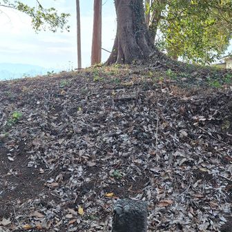 街道の距離目安のために一里塚があって、一里塚には、木が植えてあって、旅人が、涼をとるためだそうです。