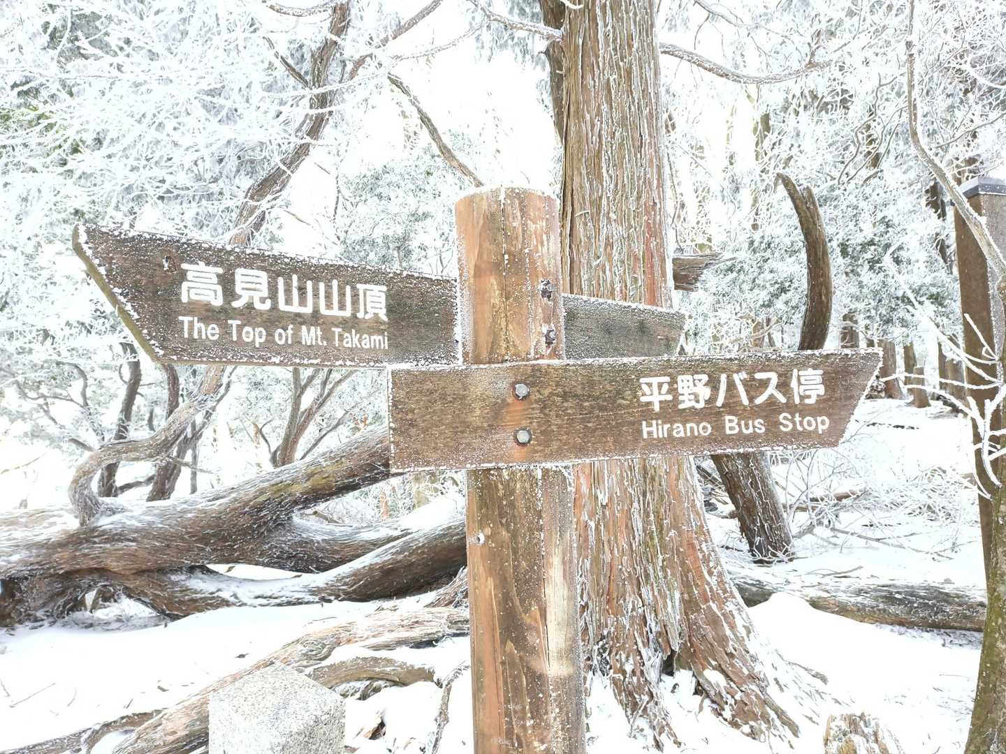 杉谷平野分岐地点。
ここで強風にあおられてヒャーってなった🌀❄️
あわててレインジャケット、チェーンスパイク装着！