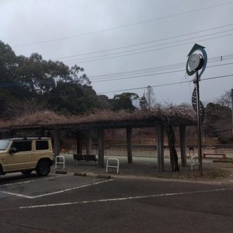 駐車場付近
いつもは誰かがいるのですが、今日は誰もいない