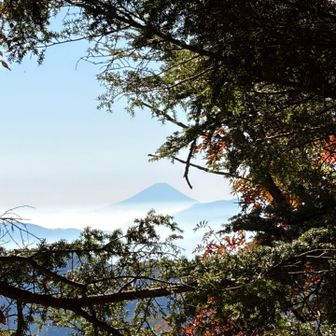 本当に富士山が見えました✨️
教えてもらわなければ気づけなかったです。