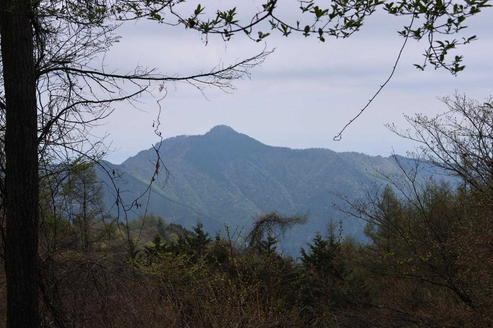 避難小屋から大岳山🙏
大岳山まで歩くことはたぶん無理