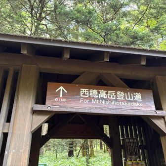西穂から上高地までが長かったねー🤣