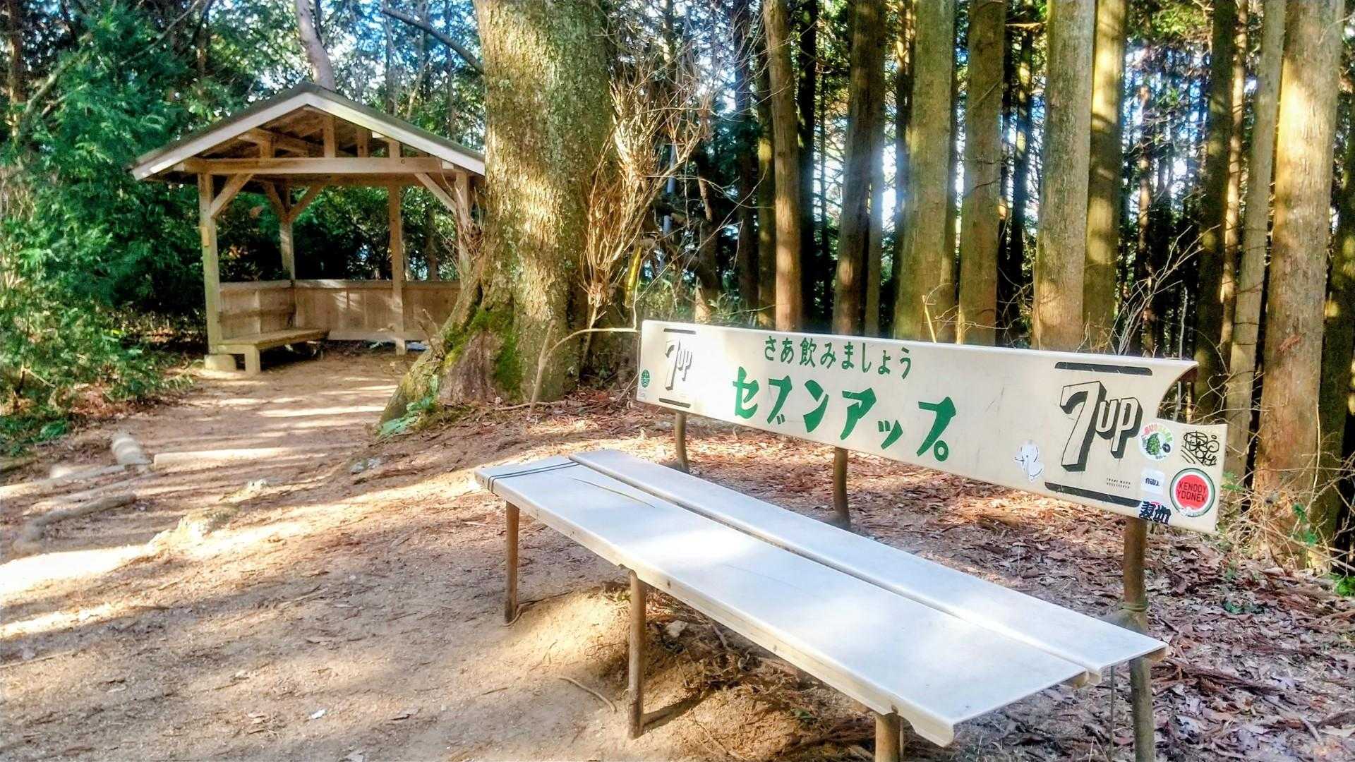 やっと半分💦
