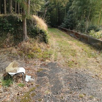 登山口　林道コース