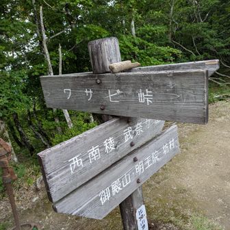 わさび峠に到着
いつものところやー！