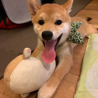 凛