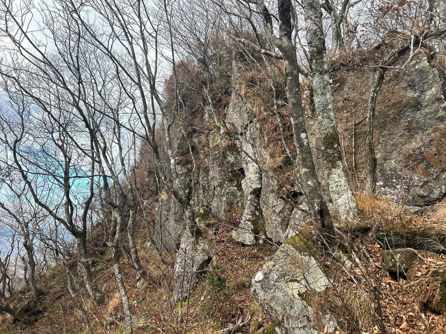 楽な林道歩きと思いきや、なかなかワイルドになってきました😁