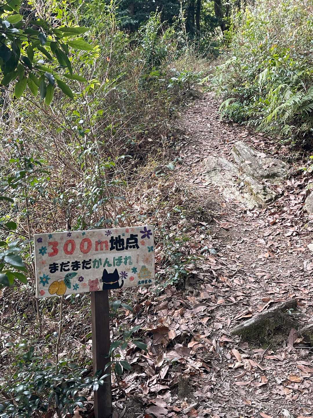 登山道の100〜200m 毎に…

小学生手作りの看板が励ましてくれます🥰