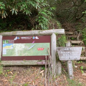 登山口