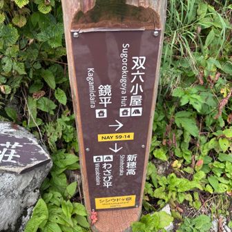 鏡平小屋通過して小池新道を下山中
登ってくる方にトレランさん忘れ物のスマホ届けてもらえませんか？とお願いされました
無事なくしてた方に追いついて持ち主お渡しする事ができました