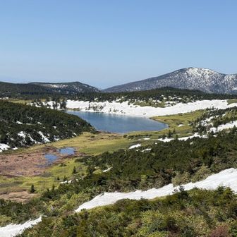 鎌沼の雪と水も昨年より少なめね