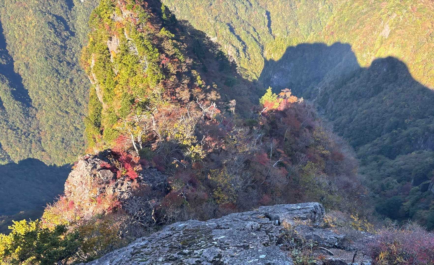 大台ヶ原バス停-大台ヶ原山-尾鷲辻-大蛇グラ 周回コースの写真