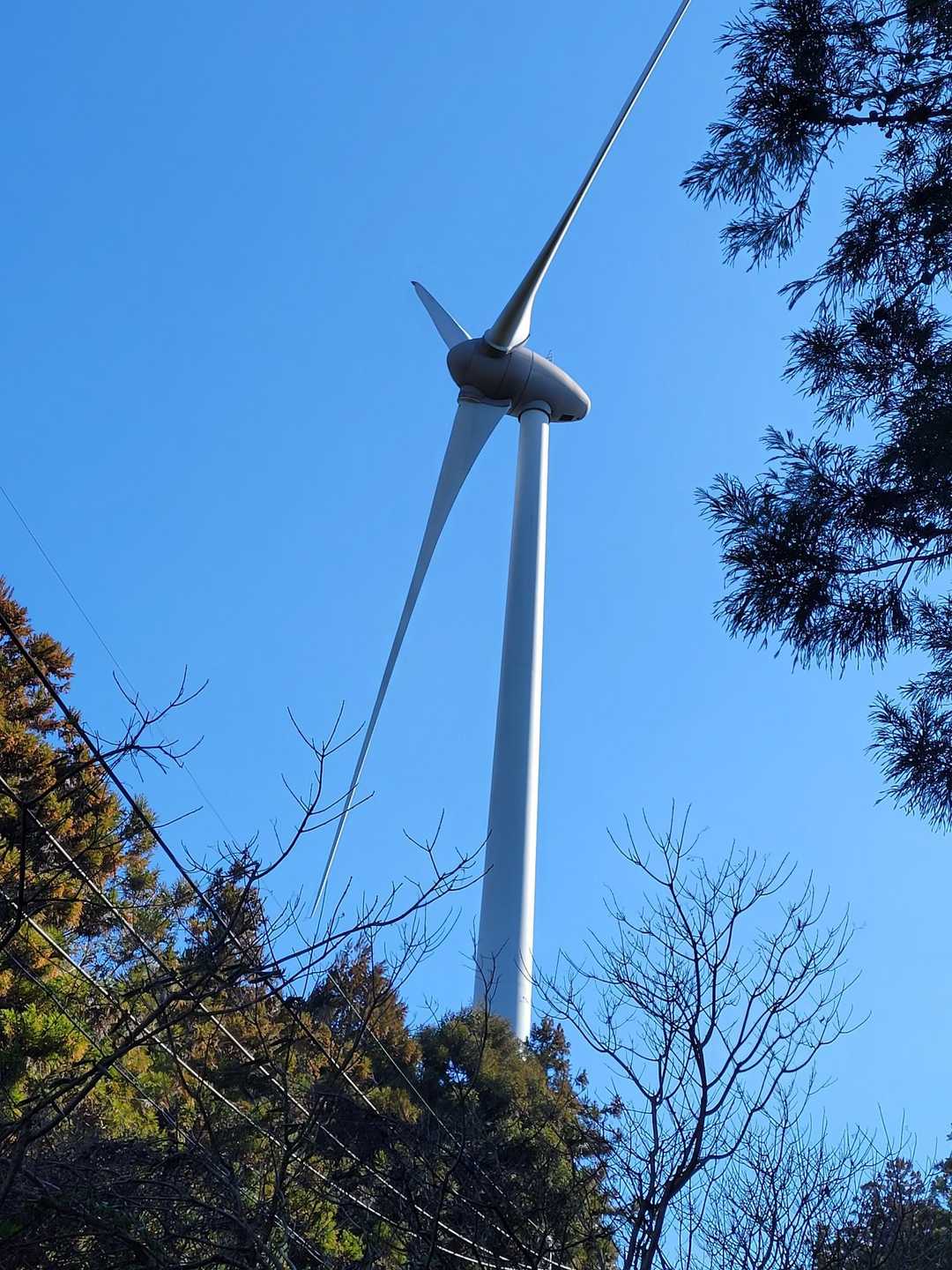 立須へ向かう途中に風力発電の風車が目の前に