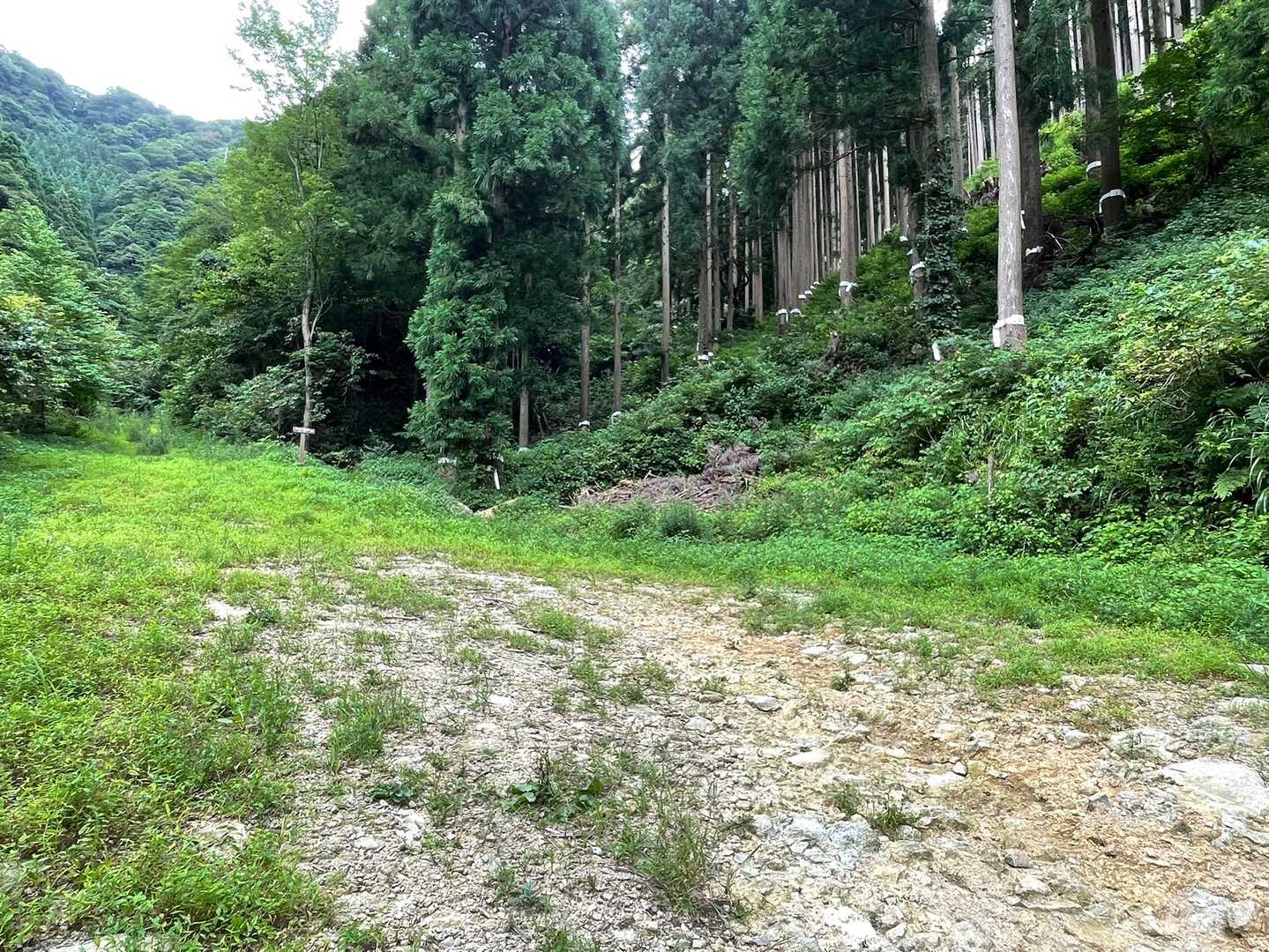 登山口すぐの駐車場